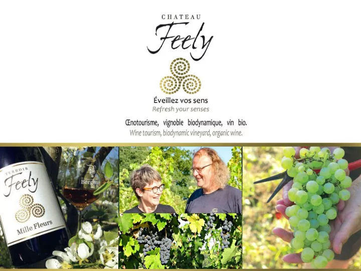 chateaufeely com
