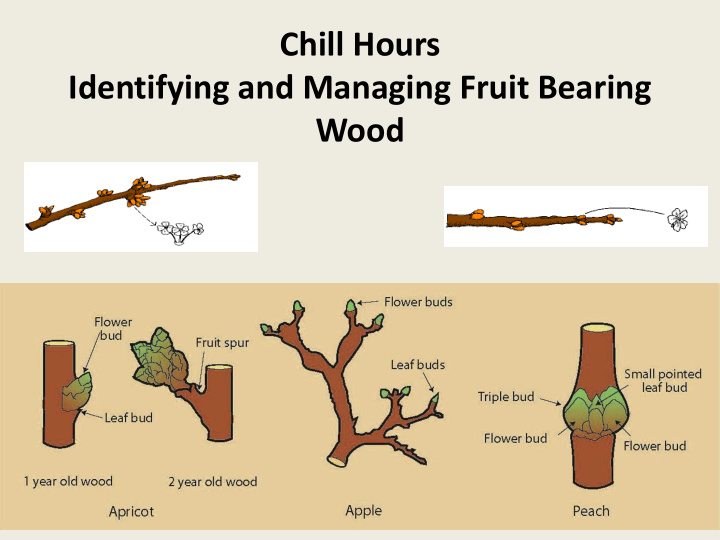 wood chill hours