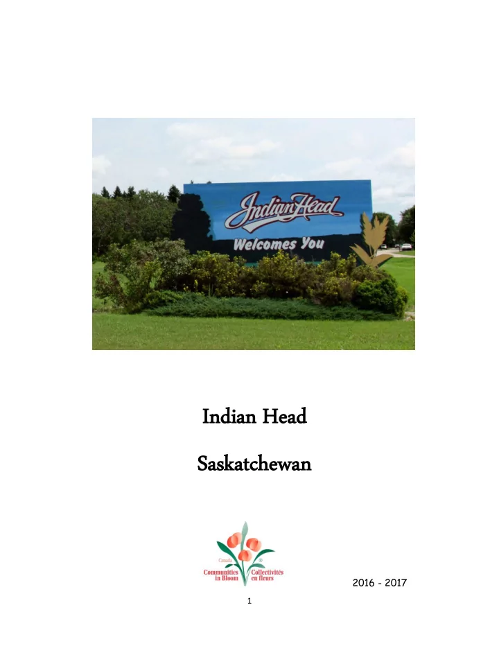 indian in dian he head ad