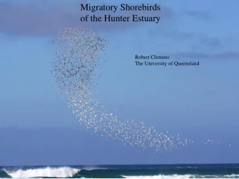 of the Hunter Estuary  Robert Clemens  The University of Queensland  Hunter Estuary Ramsar Site