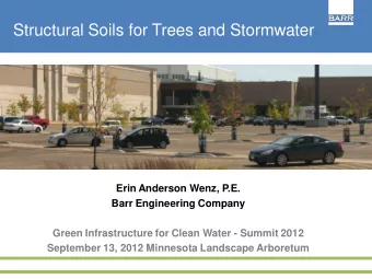 Structural Soils for Trees and Stormwater  Erin Anderson Wenz, P.E.  Barr Engineering Company