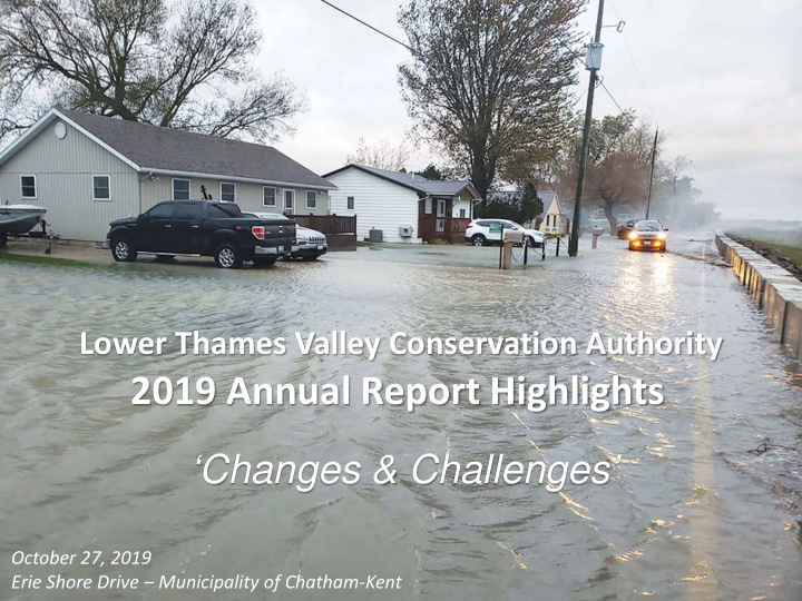 2019 annual report highlights