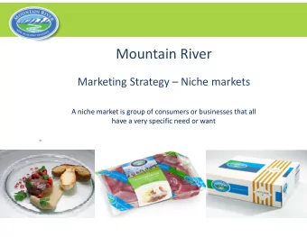 Mountain River  Marketing Strategy  Niche markets  A niche market is group of consumers or