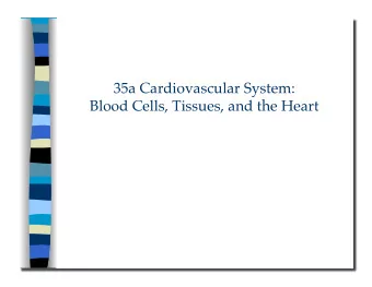 Blood Cells, Tissues, and the Heart 35a Cardiovascular System:  Blood Cells, Tissues, and the