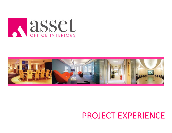 project experience nortel