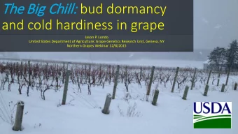Th  The Bi  Big Chill  ll: : bud dormancy  and cold hardiness in grape  Jason P. Londo  United