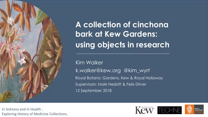 a collection of cinchona