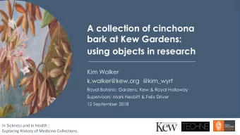 A collection of cinchona  bark at Kew Gardens:  using objects in research  Kim Walker