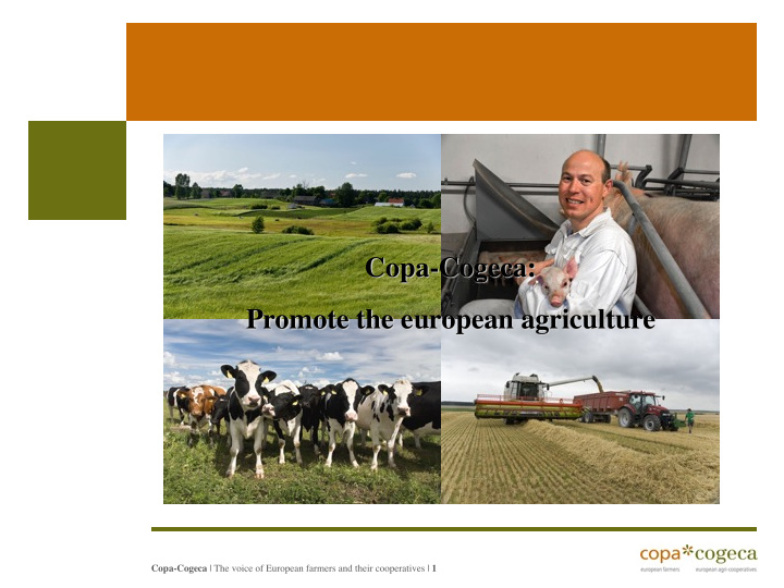 copa cogeca promote the european agriculture