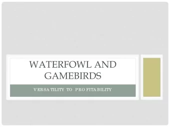 WATERFOWL AND  GAMEBIRDS  V ERSA TILITY TO  PRO FITA BILITY  WHAT ARE WATERFOWL  Birds tha