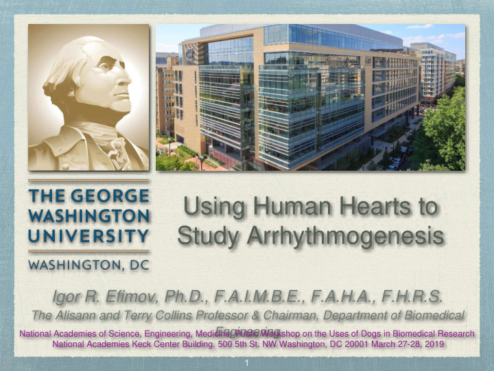 using human hearts to study arrhythmogenesis