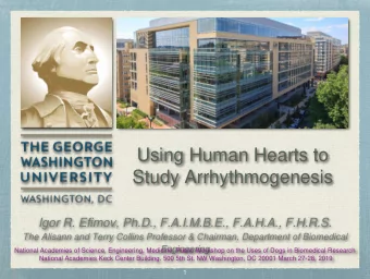 Using Human Hearts to  Study Arrhythmogenesis  Igor R. Efimov, Ph.D., F.A.I.M.B.E., F.A.H.A.,