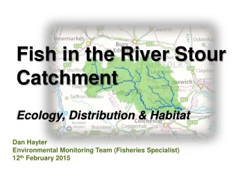 Fish in the River Stour  Catchment  Ecology, Distribution &amp; Habitat  Dan Hayter  Environmental