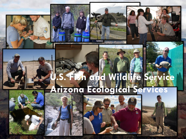 u s fish and wildlife service arizona ecological services