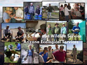 U.S. Fish and Wildlife Service  Arizona Ecological Services What We Do  or Think We Do  Agua