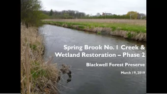 Spring Brook No. 1 Creek &amp; Wetland Restoration  Phase 2  Blackwell Forest Preserve  March