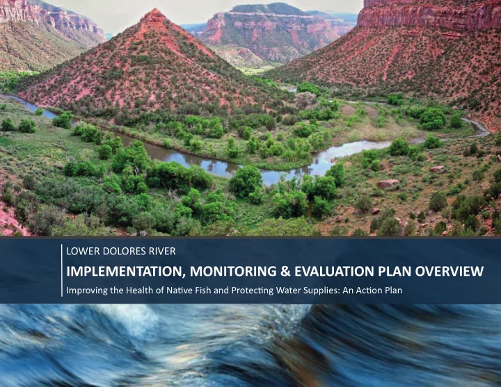 implementation monitoring evaluation plan overview