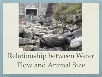 Relationship between Water  Flow and Animal Size  Variables  Control variables: Water depth, river
