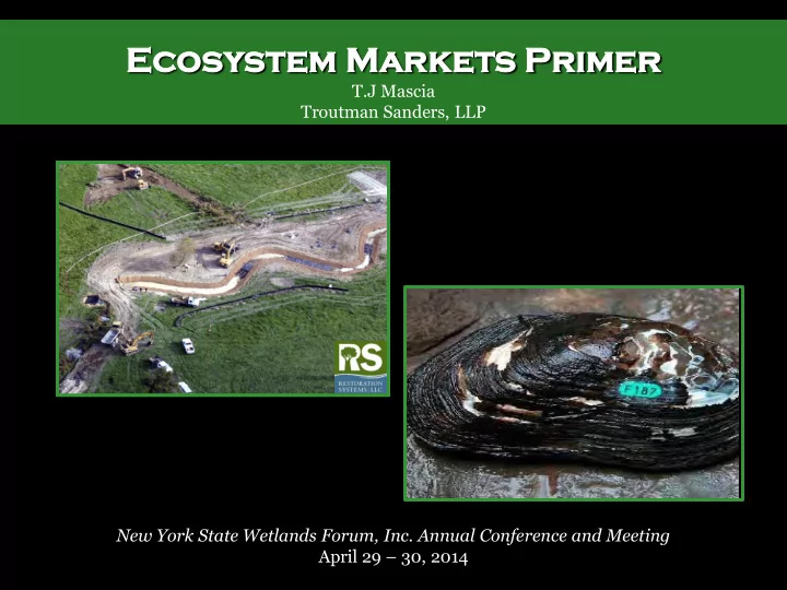 eco cosy system m mar arkets ts pr prim imer er