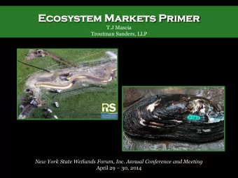 Eco  cosy  system  m Mar  arkets  ts Pr  Prim  imer  er  T.J Mascia Troutman Sanders, LLP  New York