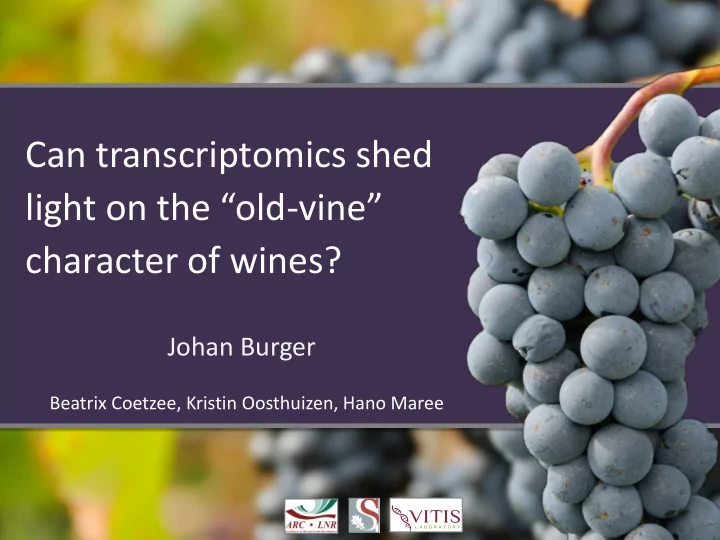 can transcriptomics shed light on the old vine character