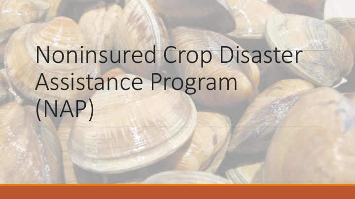 noninsured crop disaster assistance program nap overview