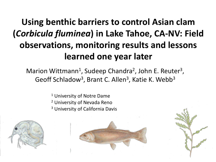 using benthic barriers to control asian clam corbicula