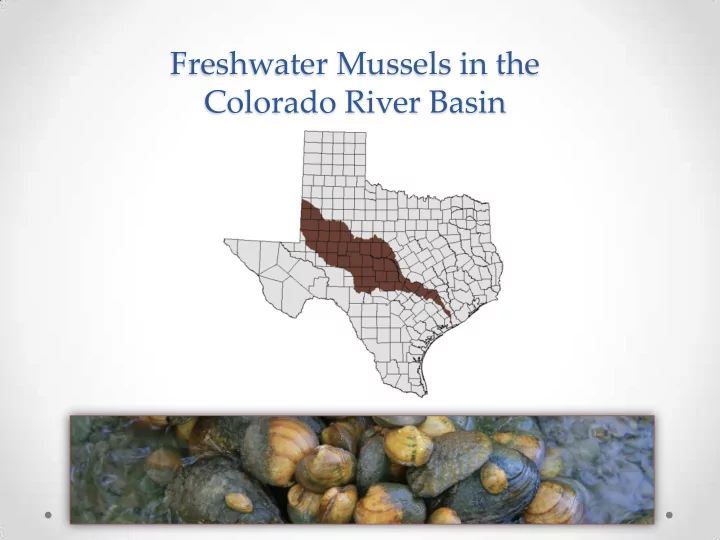 colorado river basin characterizing the colorado river
