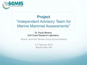 Project  Independent Advisory Team for Marine Mammal Assessments  Dr. Paula Moreno  Gulf