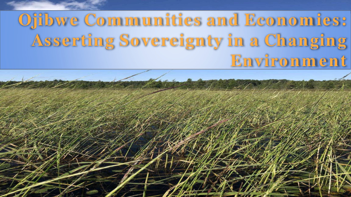 ojibwe com m unities and econom ies asserting sovereignty