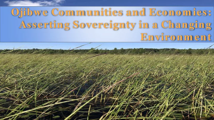 ojibwe com m unities and econom ies asserting sovereignty