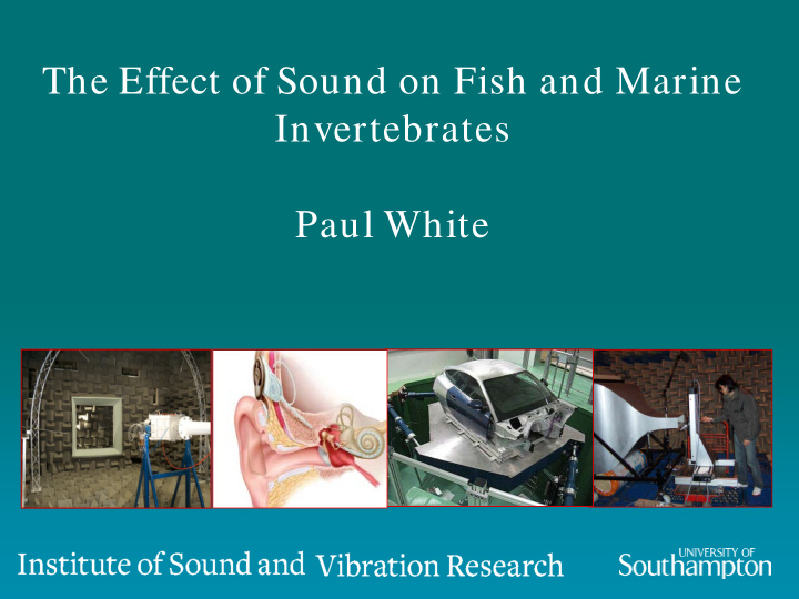 the effect of sound on fish and marine invertebrates paul