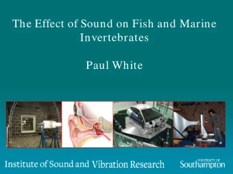 The Effect of Sound on Fish and Marine  Invertebrates  Paul White  Outline   Introduction/