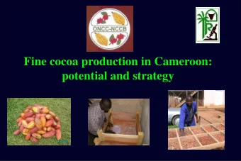 Fine cocoa production in Cameroon:  potential and strategy  Context Dramatical increase of cocoa
