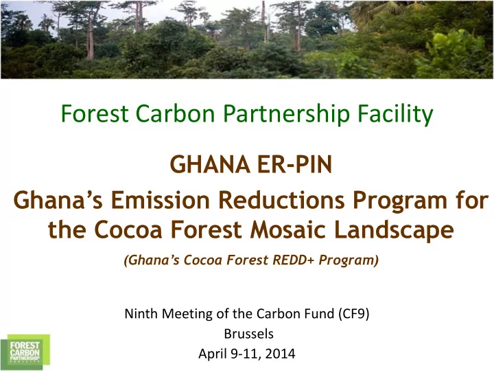 forest carbon partnership facility