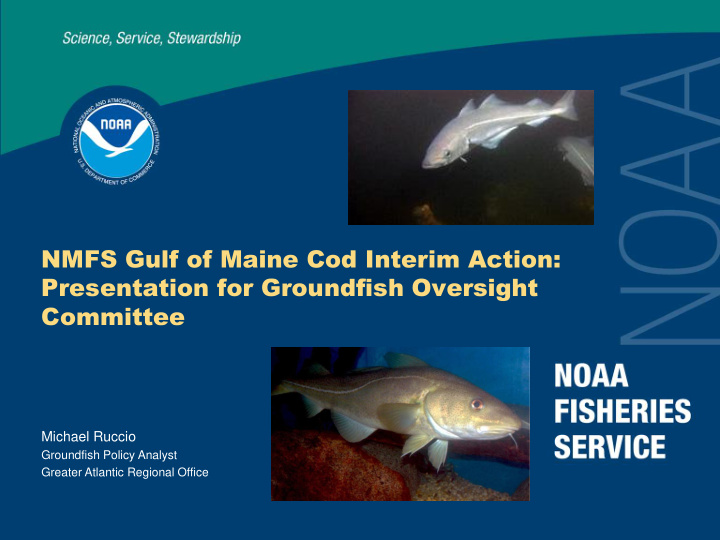 nmfs gulf of maine cod interim action presentation for