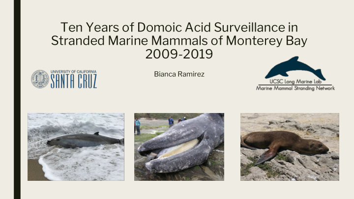 ten years of domoic acid surveillance in stranded marine