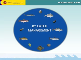 BY CATCH  MANAGEMENT  BY CATCH IN  NORWAY. HOW IT WORKS?  Discard ban in Norway : All catches that
