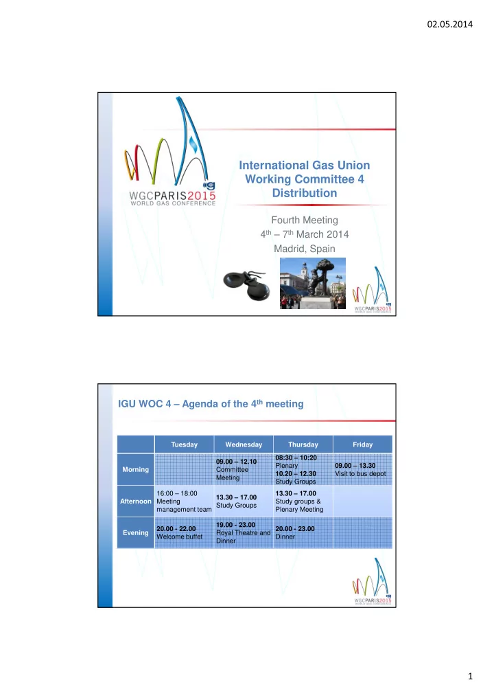 international gas union working committee 4 distribution