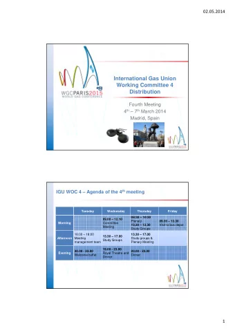International Gas Union  Working Committee 4  Distribution  Fourth Meeting 4 th  7 th March 2014