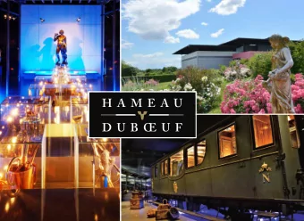 WELCOME TO THE WORLD OF VITICULTURE AND WINE! HAMEAU DUBOUF IN FIGURES  THE WINERY  THE WINE