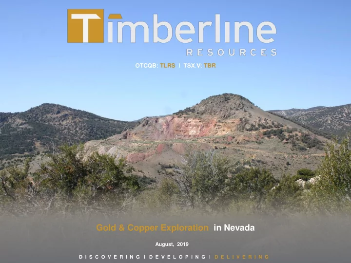 gold copper exploration in nevada