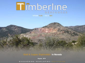 Gold &amp; Copper Exploration  in Nevada  August,  2019 D  I  S  C  O  V  E  R  I  N  G    D  E