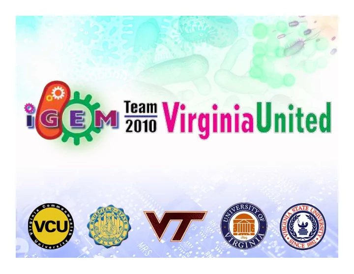 regional team meetings and bootcamp