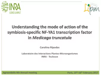 Understanding the mode of action of the  symbiosis-specific NF-YA1 transcription factor in Medicago