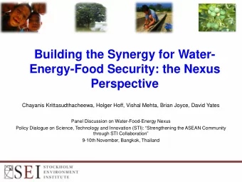 Building the Synergy for Water-  Energy-Food Security: the Nexus  Perspective  Chayanis