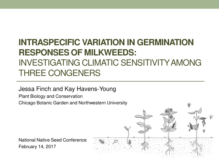 responses of milkweeds