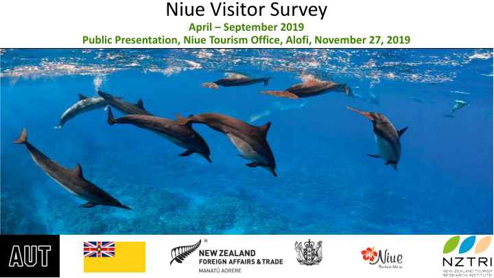 niue visitor survey