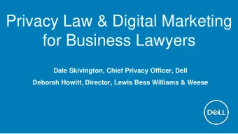 Privacy Law &amp; Digital Marketing  for Business Lawyers  Dale Skivington, Chief Privacy Officer,