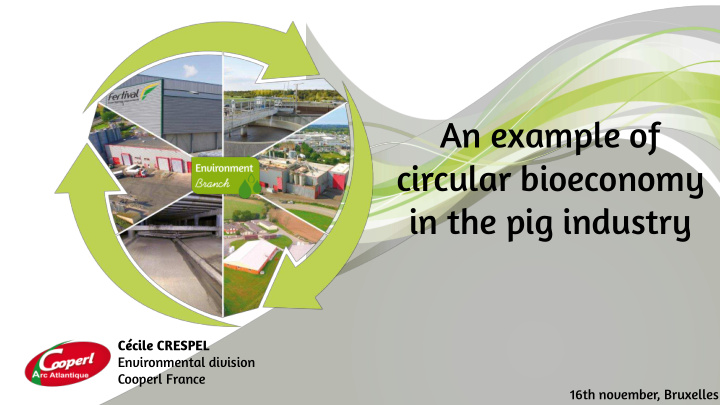 circular bioeconomy